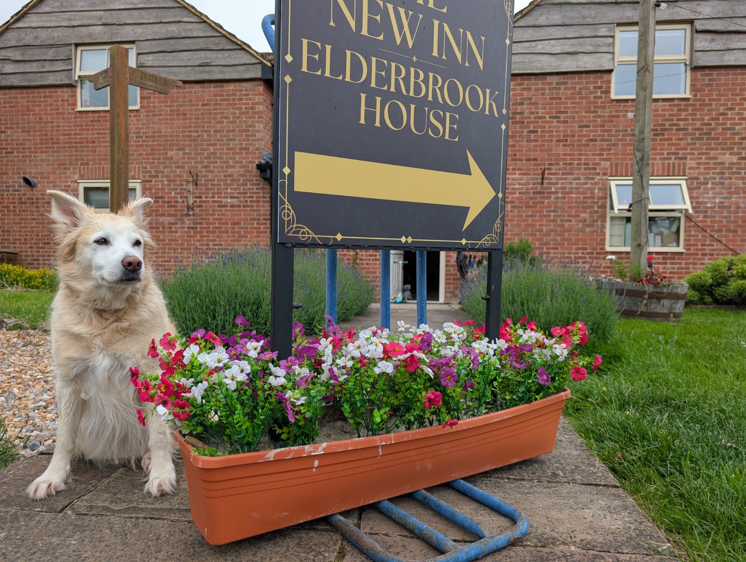 The Elderbrook House sign at the entrance in Winterbourne Monkton.